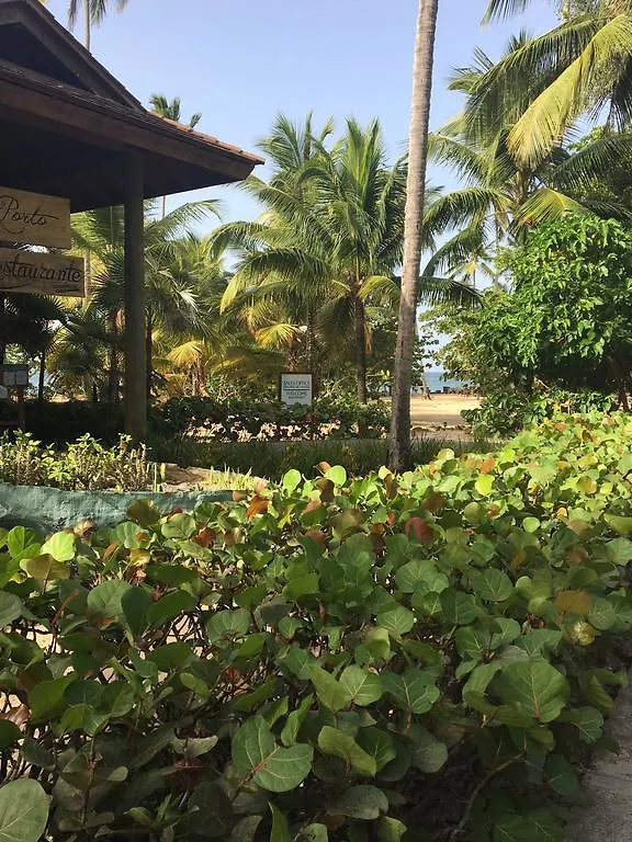 Apartment Balcones Del Atlantico Las Terrenas Dominican Republic